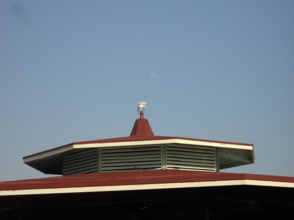 Foto Pickalbatros Dana Beach Resort - Hurghada