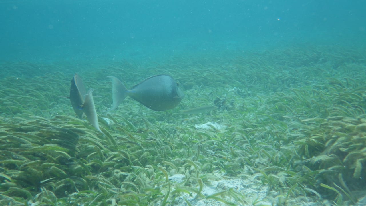 Sonstiges Adaaran Select Hudhuran Fushi - Premium All Inclusive