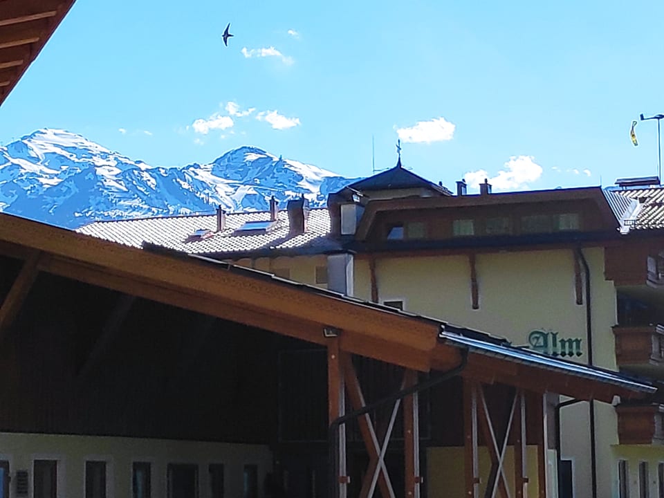 Ausblick Alpengasthof Tannenalm