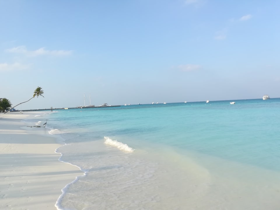 Strand Meeru Maldives Resort Island