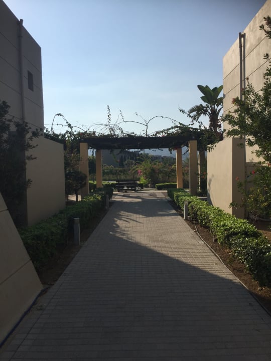 Gartenanlage Astir Odysseus Kos Resort & Spa