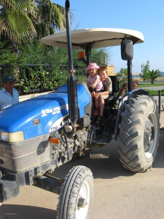Dieser Trecker fährt zum Strand Hane Family Resort