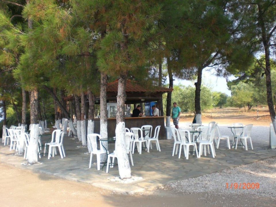 Strandbar Blue Dolphin Resort Hotel