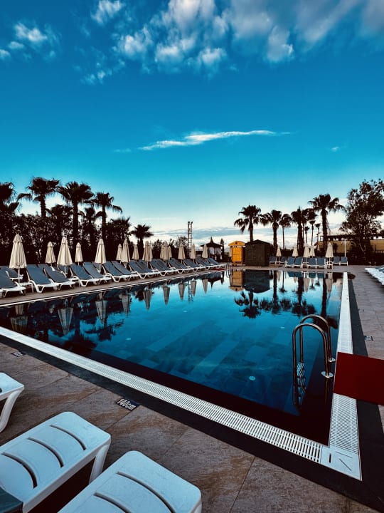 Pool Hotel Delphin Diva Lara • Holidaycheck Türkische Riviera Türkei