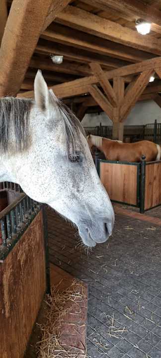 Sport & Freizeit Pałac i Folwark Galiny