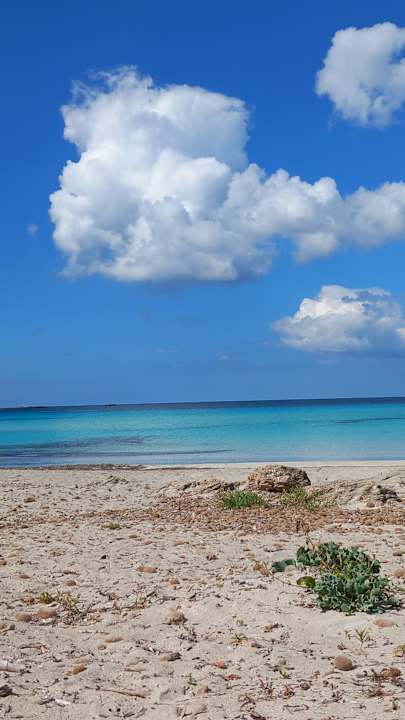 Strand Universal Hotel Cabo Blanco - Adults Only