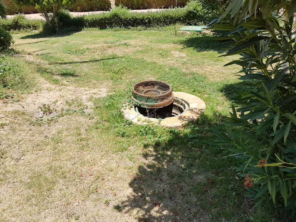 Gartenanlage Regency Plaza Aqua Park & Spa