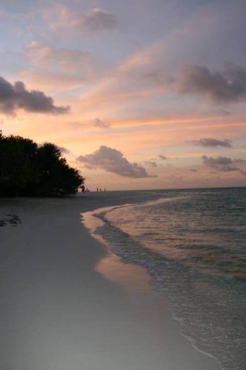 Am Strand Kuramathi Maldives
