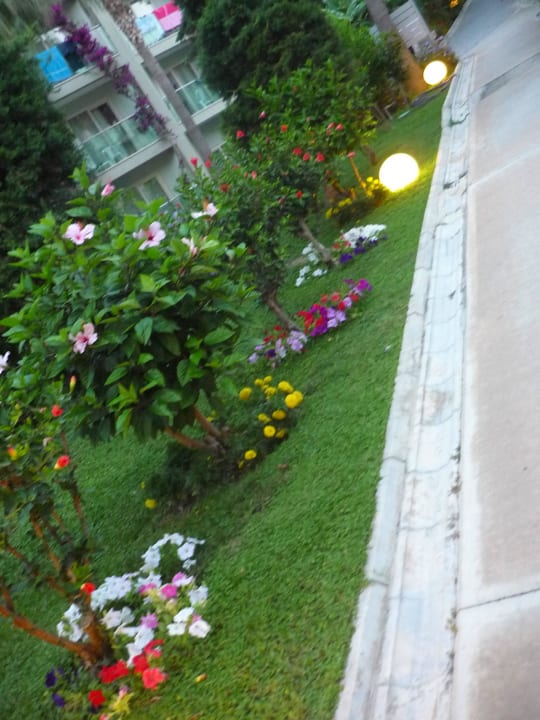 Tolle Blumen und Pflanzen in der ganzen Anlage! Sealife Buket Resort & Beach