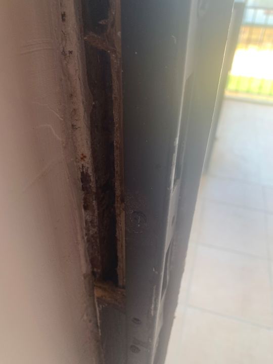 Zimmer Andros Family Club