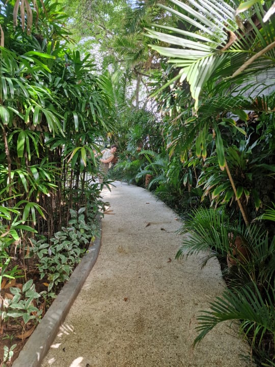 Gartenanlage Bali Garden Beach Resort