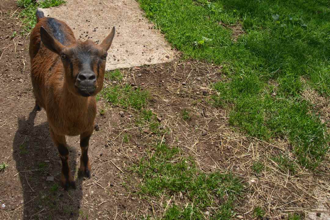 Sonstiges Bauernhof Itzenwaldhof