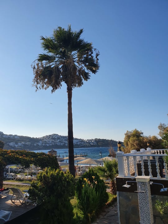 Gartenanlage Golden Age