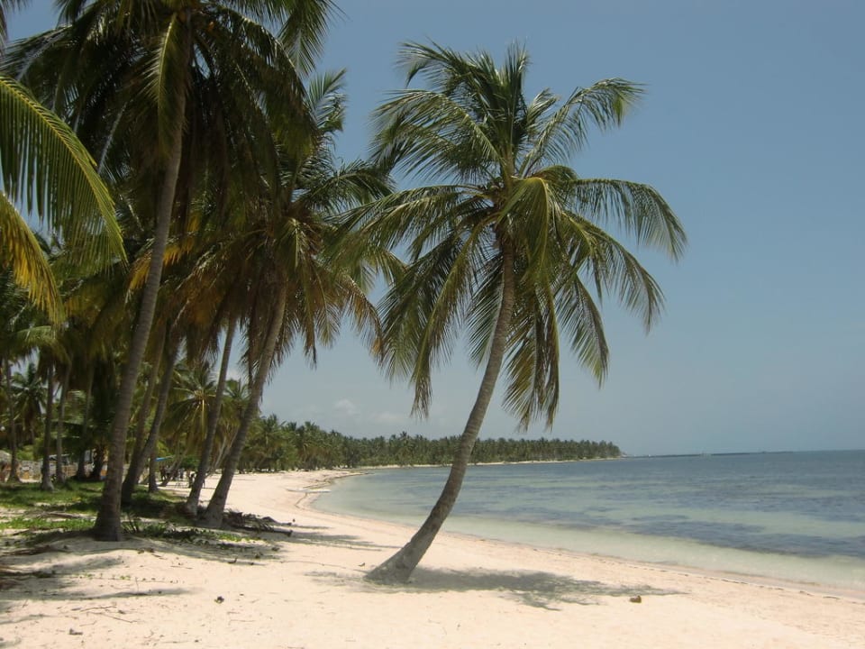 Strand Catalonia Royal Bavaro - Adults only