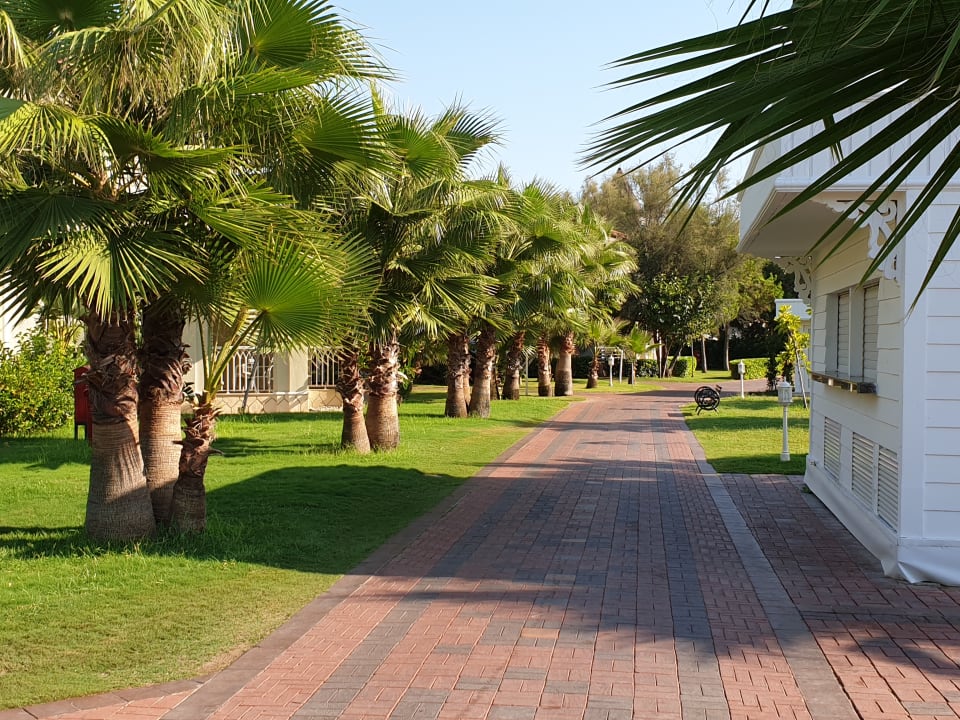 Gartenanlage Güral Premier Tekirova