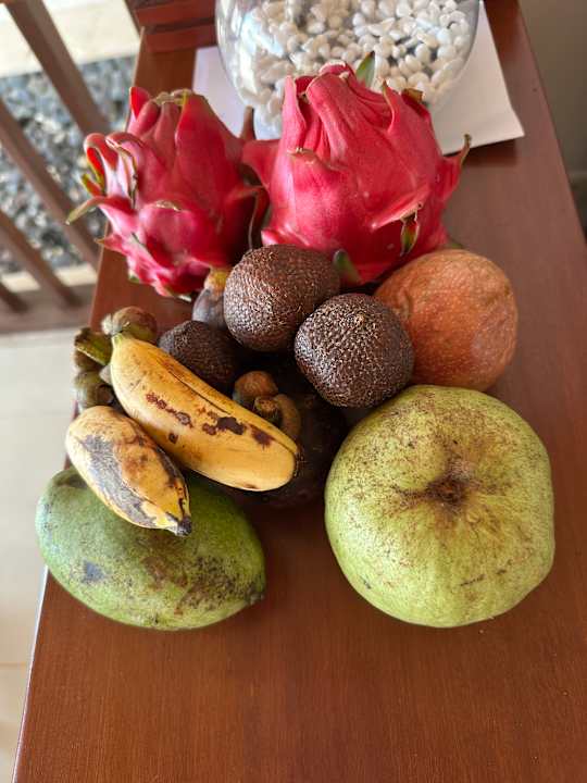 Gastro Siddhartha Ocean Front Resort & Spa