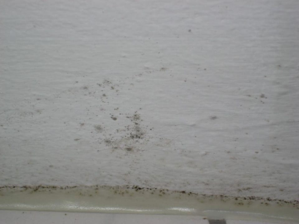 Schimmel im Bad Hotel Ködnitzhof