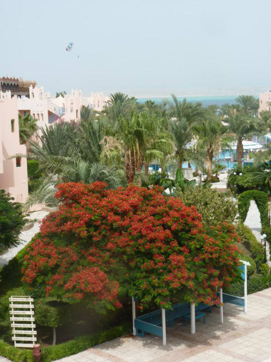 Вид из номера Hotel Le Pacha Beach Resort