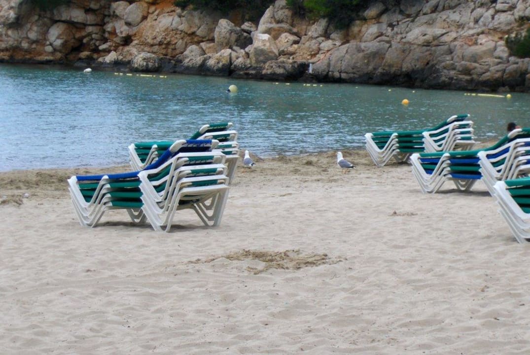 Möwen Sandos El Greco Beach Hotel 16+