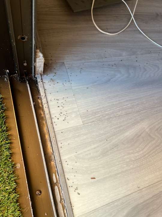 Zimmer SBH Hotel Taro Beach