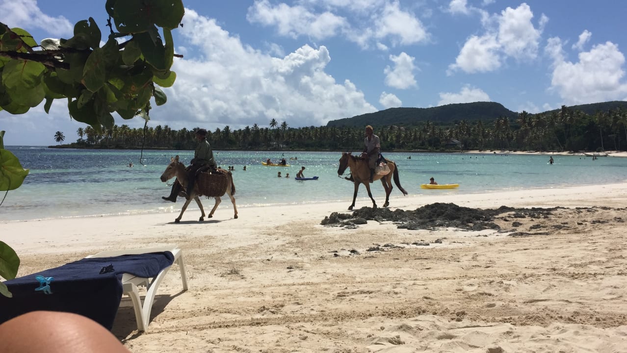 Strand Wyndham Alltra Samana