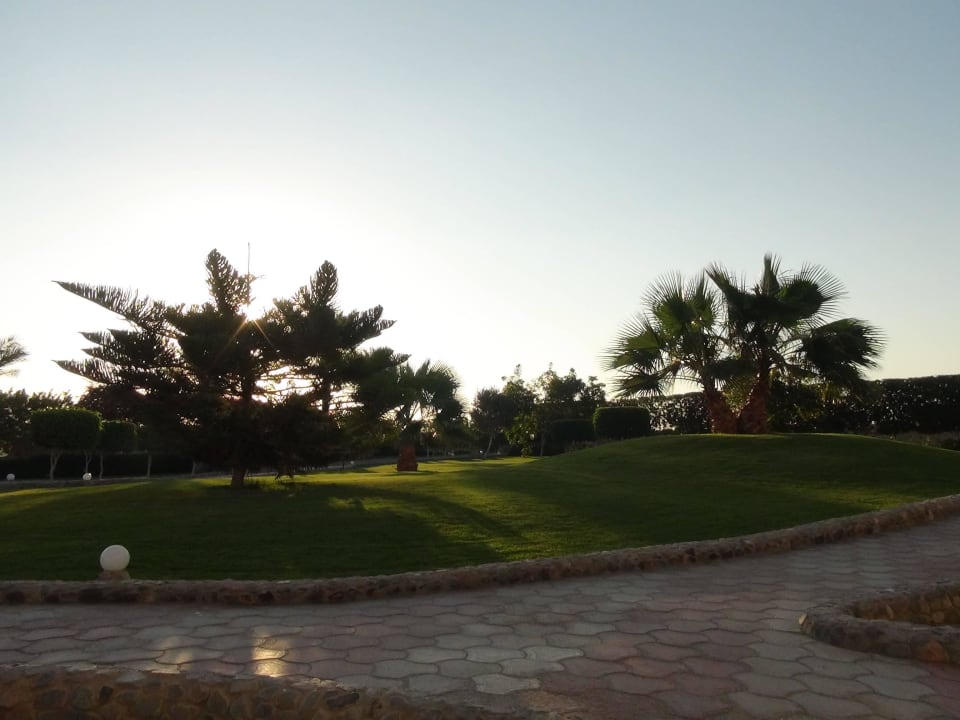 Ogród Three Corners Sea Beach Resort