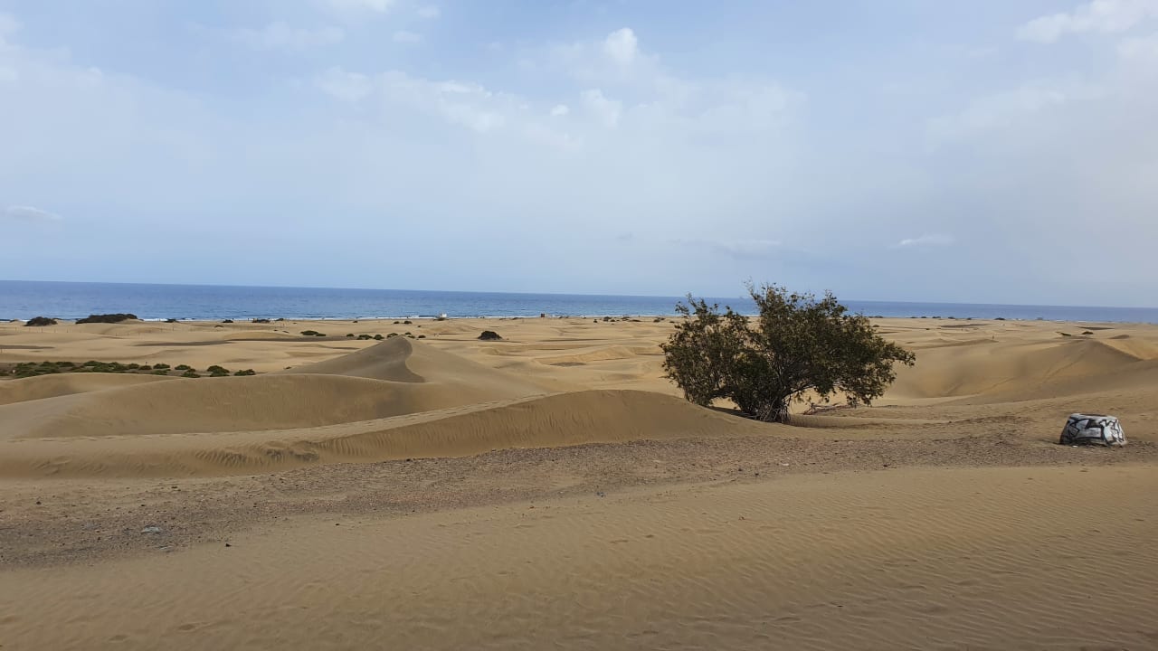 Strand Seaside Hotel Sandy Beach