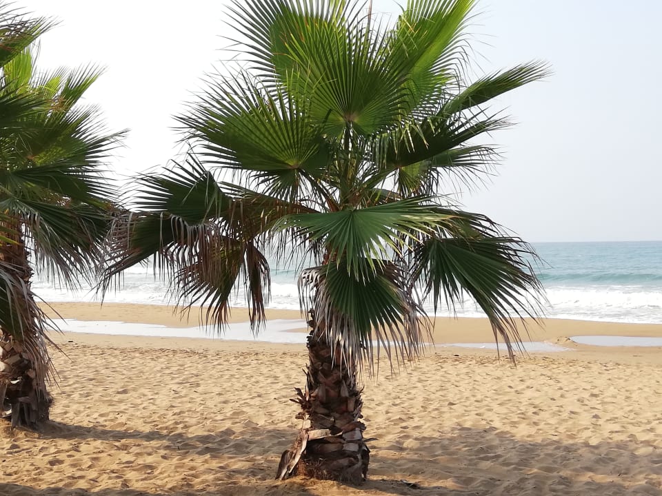 Strand Club Grand Aqua