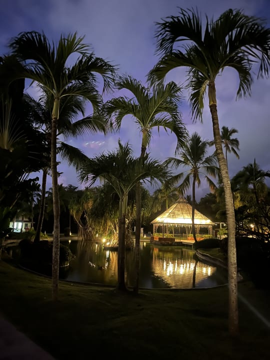 Gartenanlage Caribe Deluxe Princess