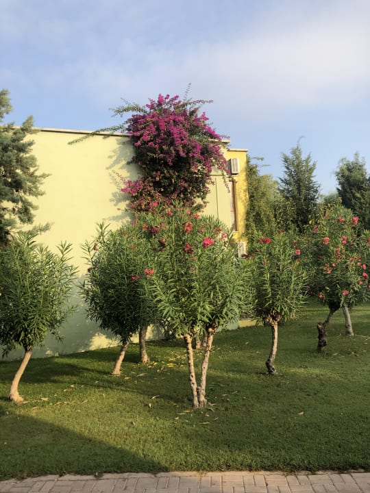 Gartenanlage VONRESORT Golden Beach