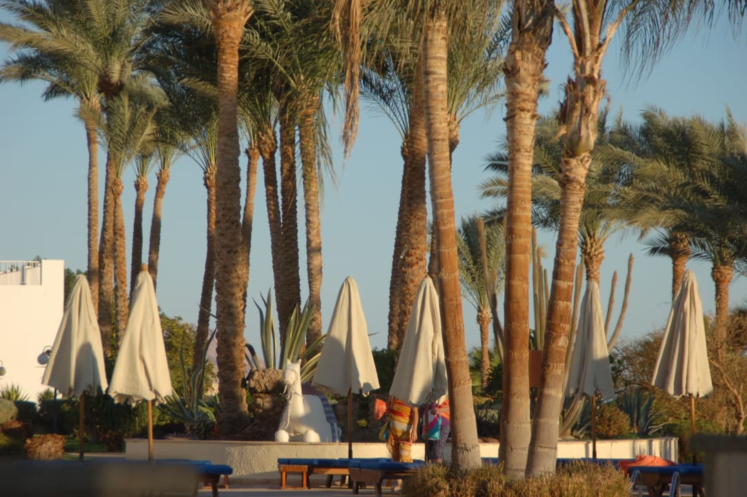 Gartenanlage Siva Sharm