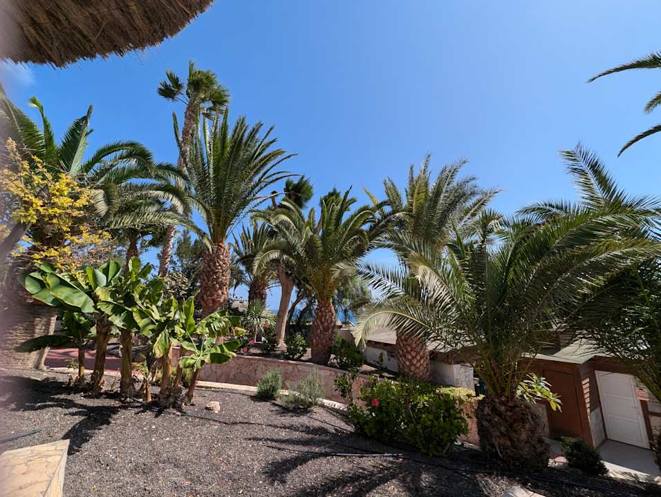 Gartenanlage Marina Playa Suite Hotel