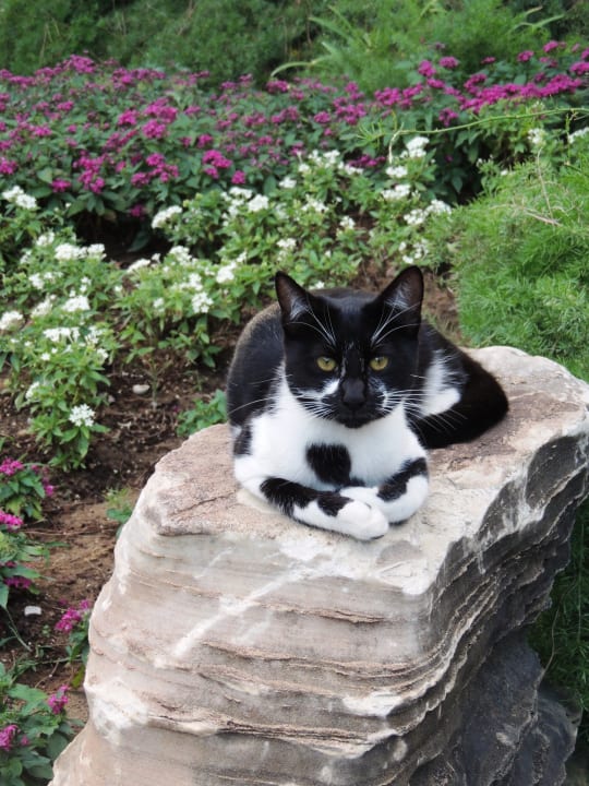 Sonstiges Voyage Belek Golf & Spa