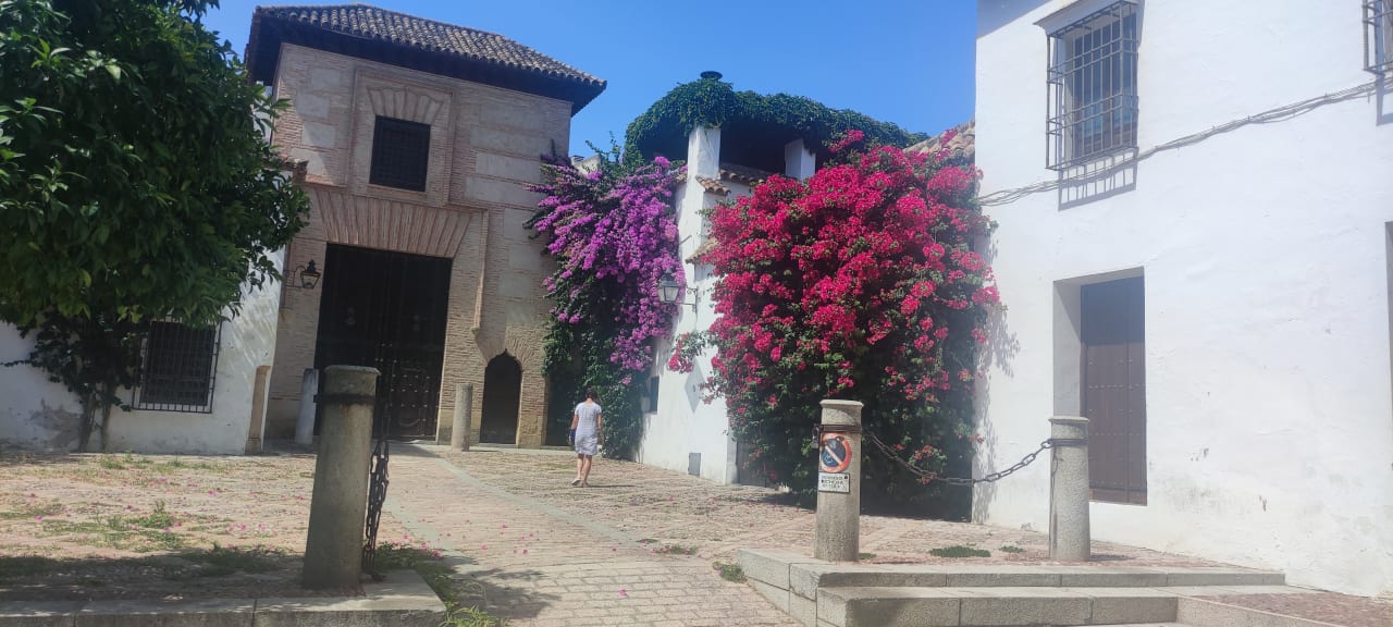 Sonstiges Hotel Macia Alfaros