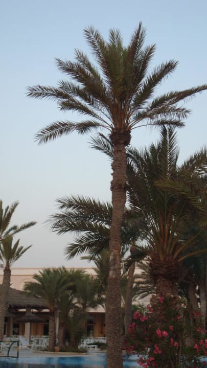 Pool Zita Beach Resort Zita Beach Resort