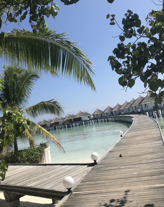 Außenansicht Safari Island Maldives