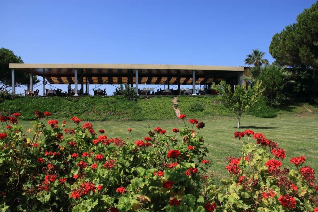 Schöne Bepflanzung Royal Beach Club Hotel