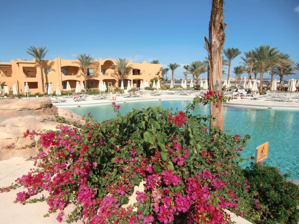 Kinderbecken Stella Beach Resort & Spa Makadi Bay