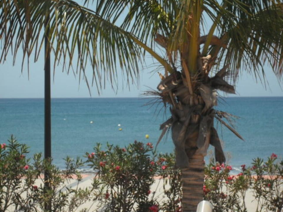 Strand R2 Bahía Playa Design Hotel & Spa - Adults Only