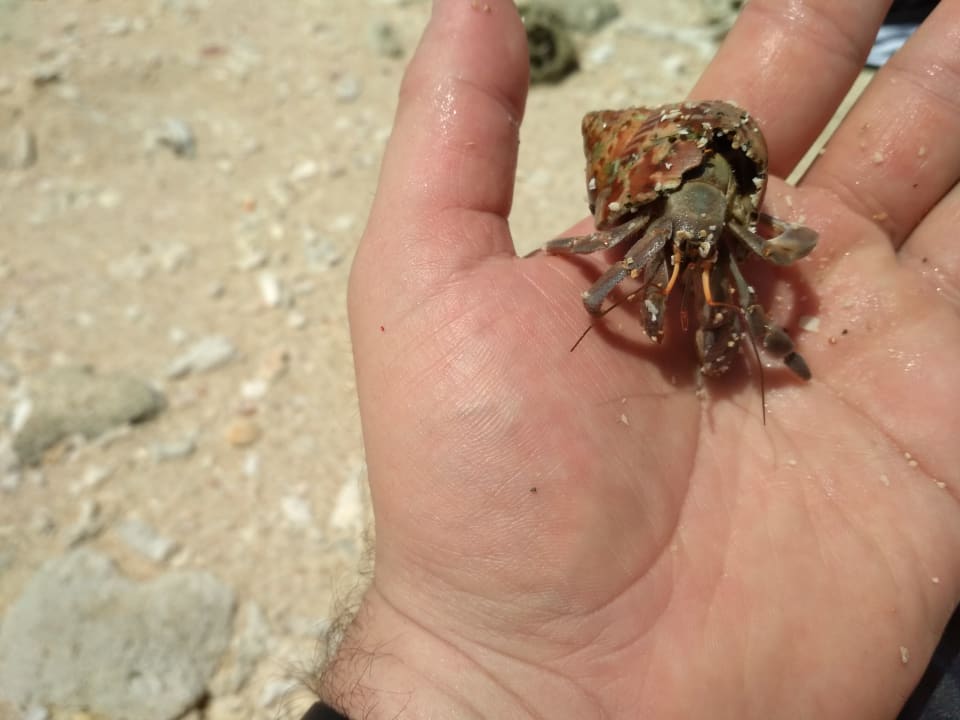 Strand Kantary Beach Hotel - KHAO LAK