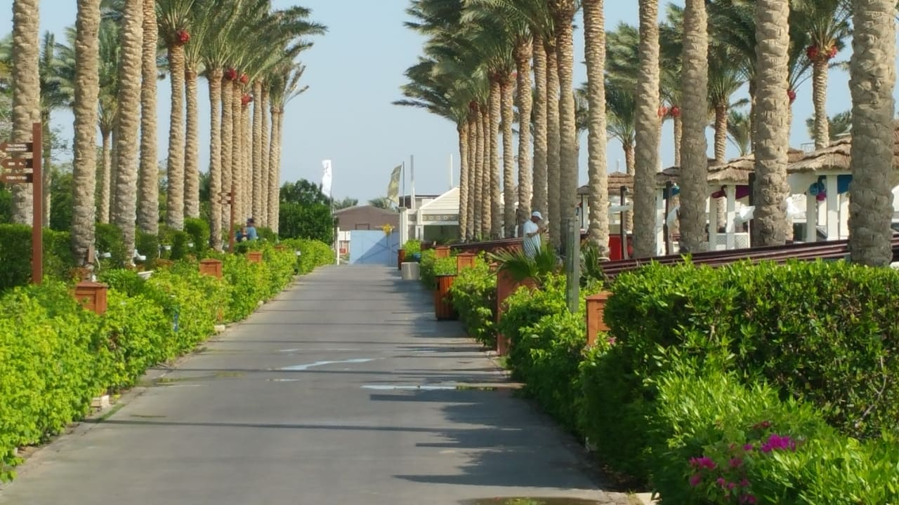 Gartenanlage Rixos Sharm El Sheikh Adults Only 18 +