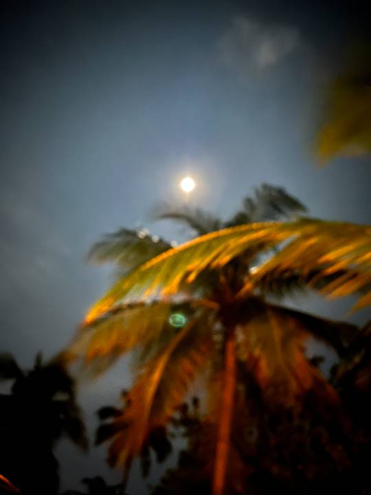 Ausblick Angaga Island Resort