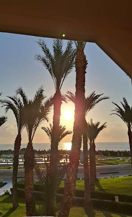 Ausblick Iberostar Waves Averroes