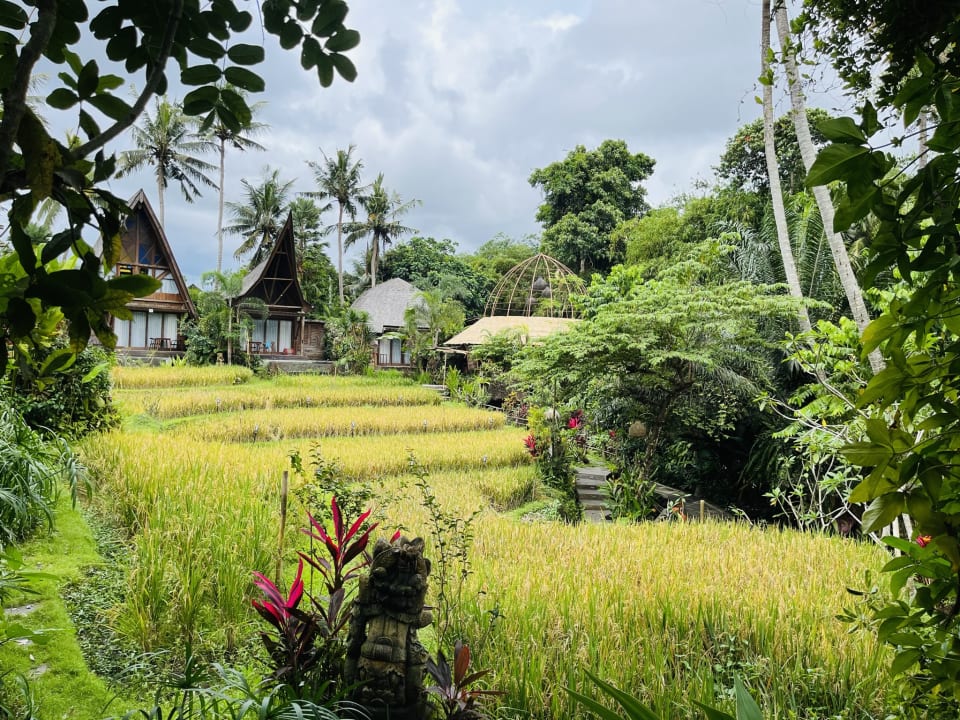 Ausblick Menzel Ubud