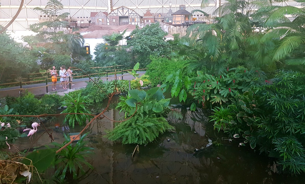 Sonstiges Tropical Islands Resort