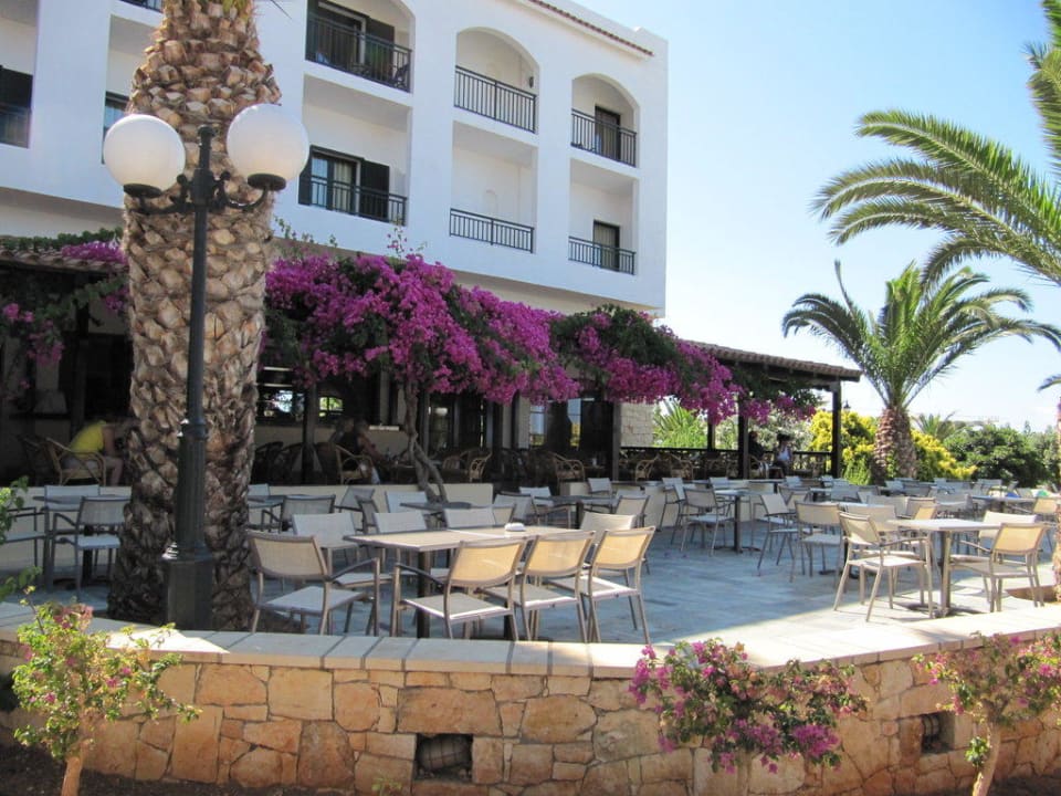 Terrasse des Chrissi Amoudia TUI SUNEO Chrissi Amoudia