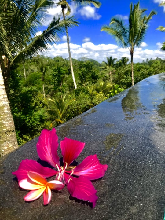 Gartenanlage Padma Resort Ubud
