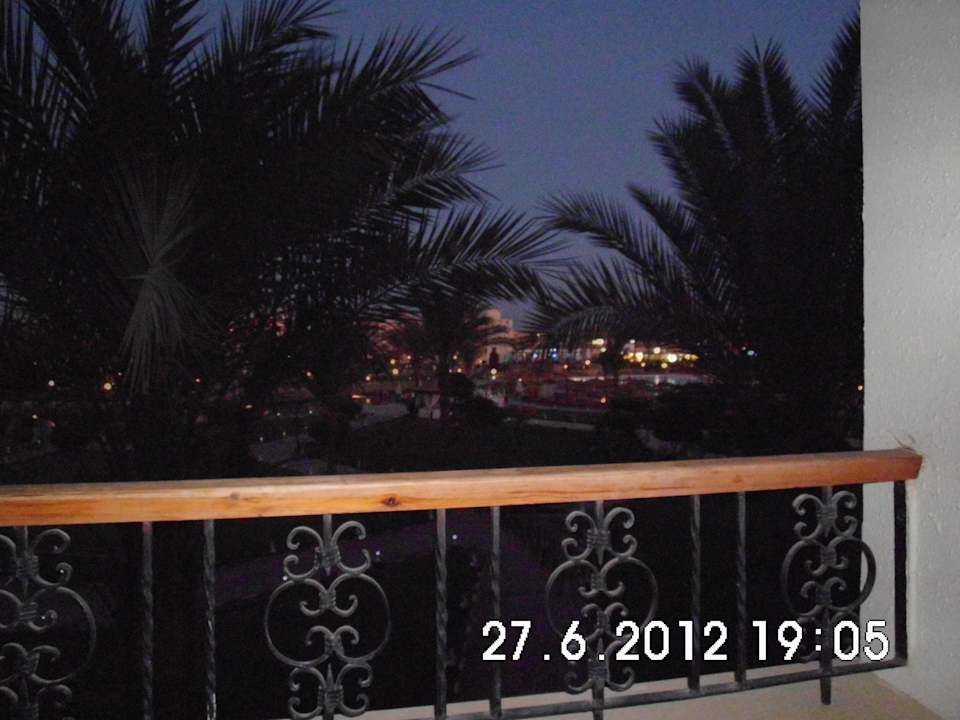 Ausblick in den Garten Pickalbatros Dana Beach Resort - Hurghada