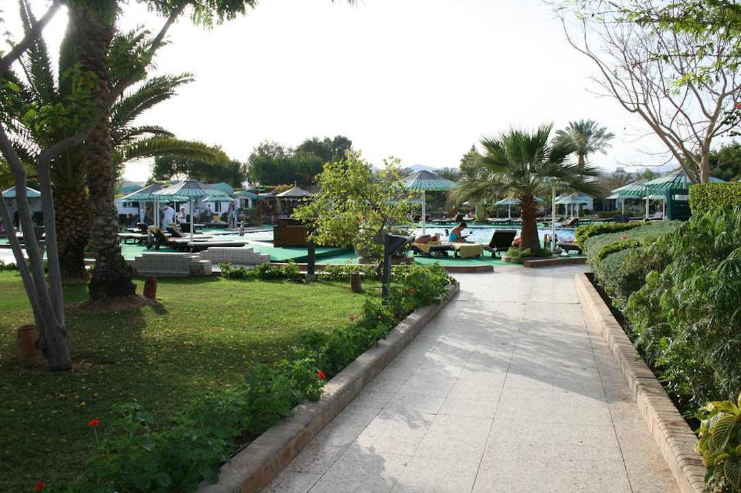 Sehr geflegter Garten Ghazala Beach