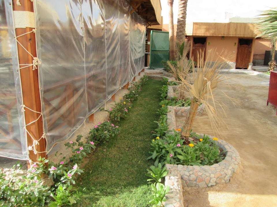 Fischrestaurant mit Toiletten! Giftun Azur Resort